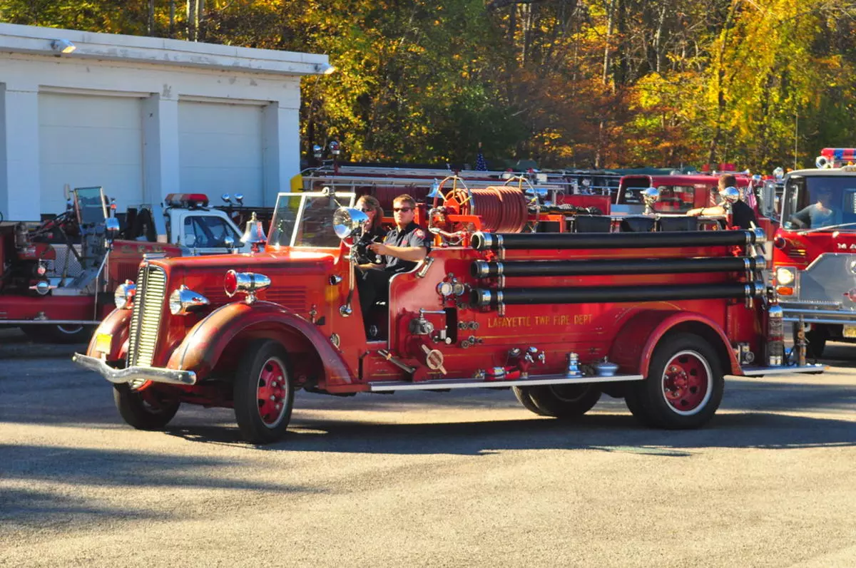 ltfd